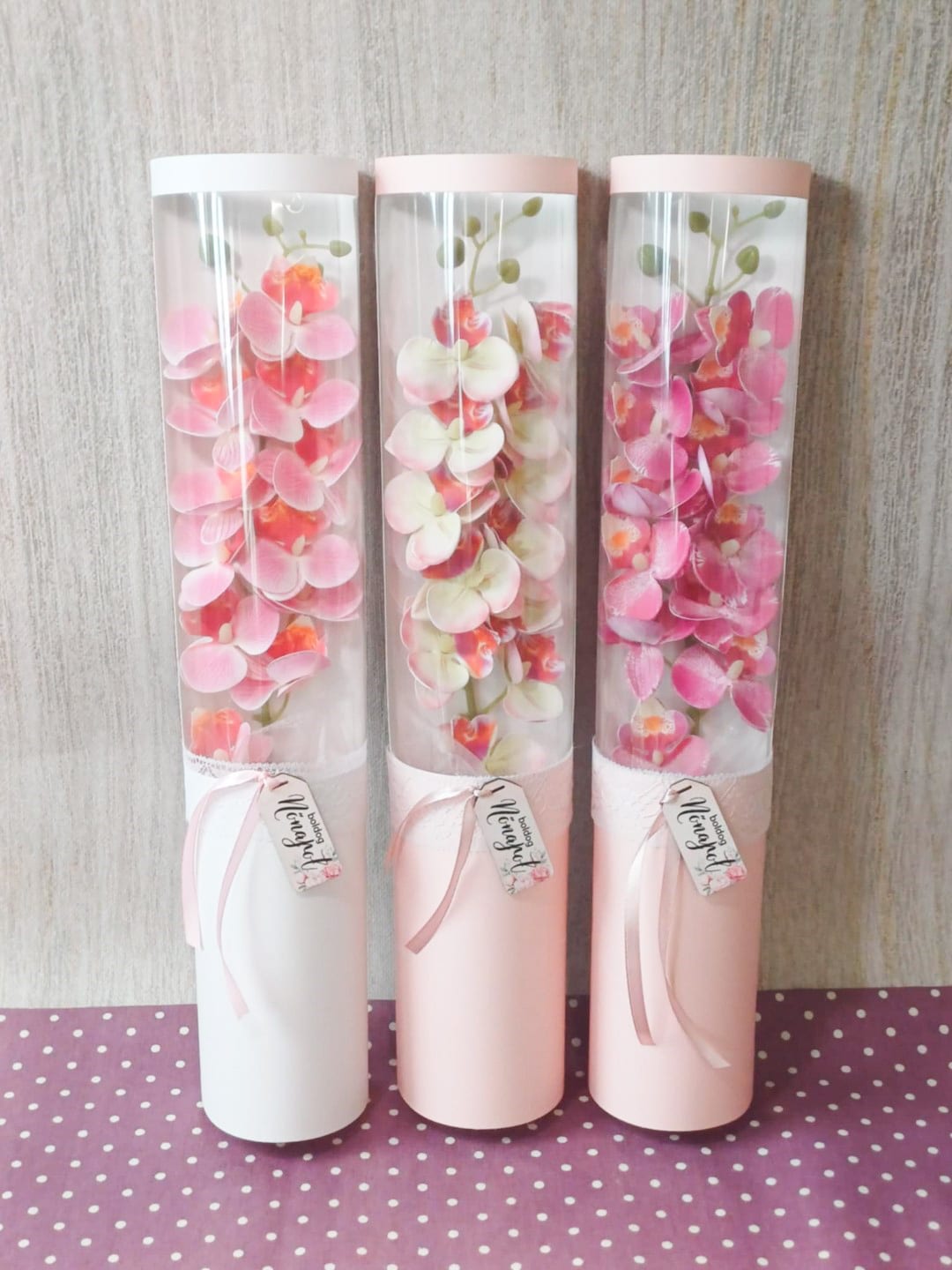 nonapi diszobozos orchide 1